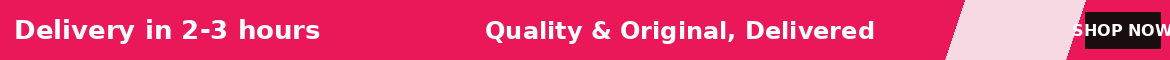 Promotional Banner - Delivery in 2-3 hours, Quality & Original, Delivered